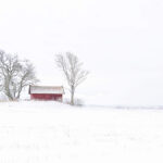 Göran Gärberg Small Barn In Mist